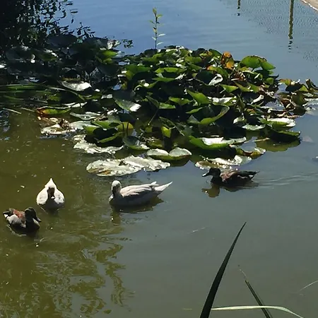 Domaine Du Grand Bec Nyaraló *