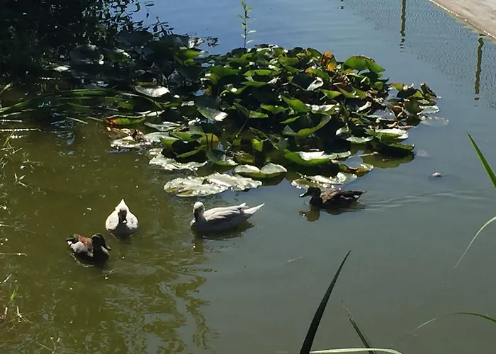 Domaine Du Grand Bec بيت للعطل *